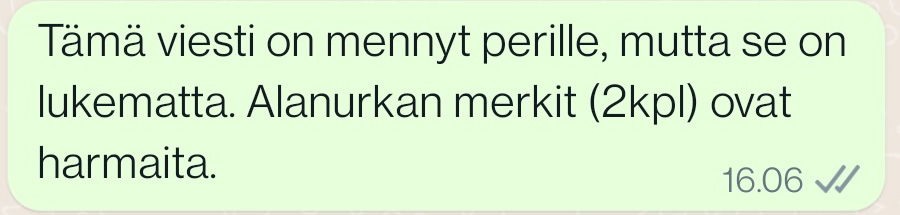 harmaat whatsapp merkit kertovat, että henkilö on saanut viestisi ja todennäköisesti ei vielä ole sitä lukenut.